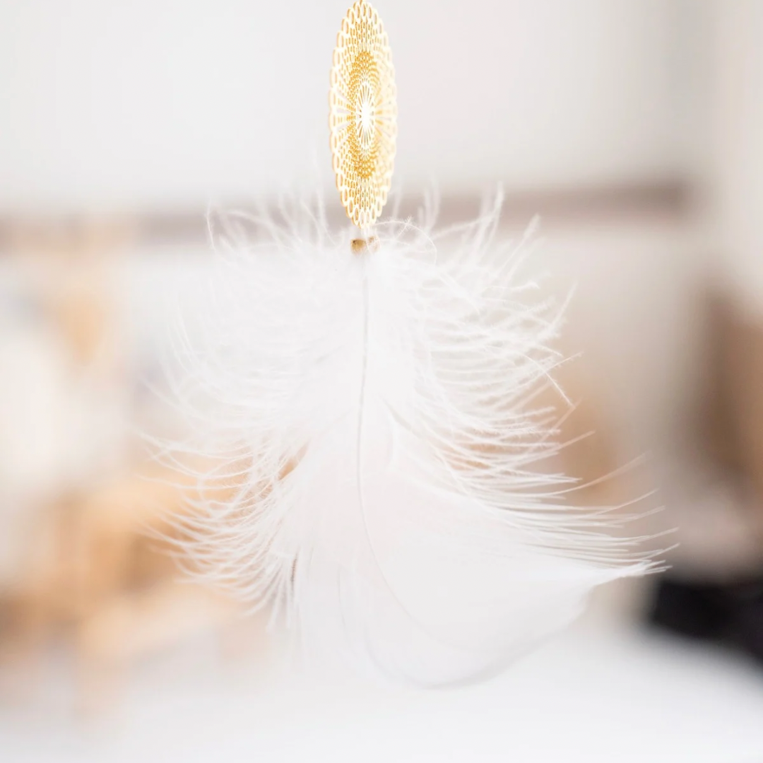 Feder an einem Sonnenfänger nah – Dekoration mit zarter weißer Feder für sommerliche Atmosphäre